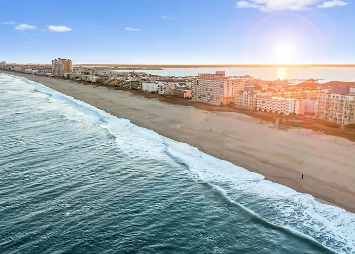 Cozy Oceanside With Pool And Free Linens Apartment *